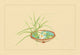 Reed and Pond Lily - Gallery Wrapped Canvas Art 28" x 42"