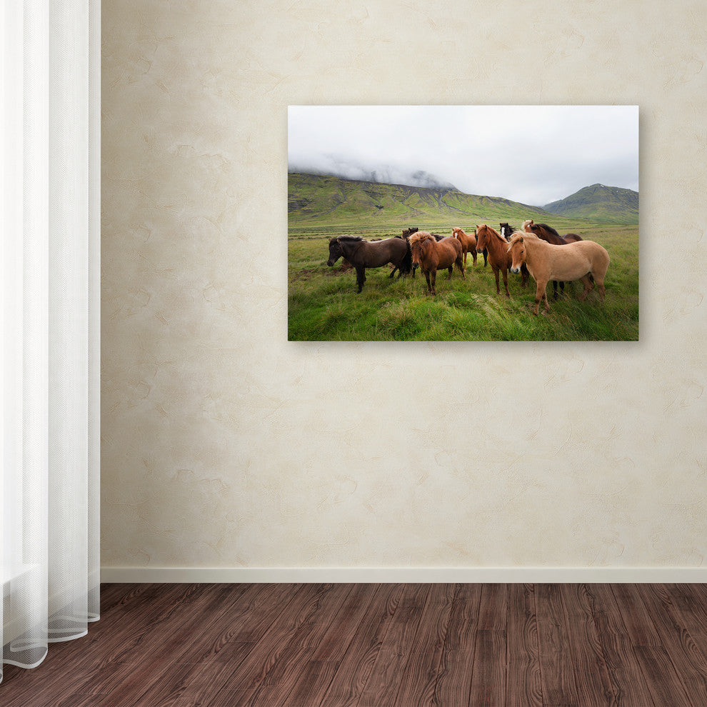 Philippe Sainte-Laudy ''Bunch of Friends'' Canvas Art