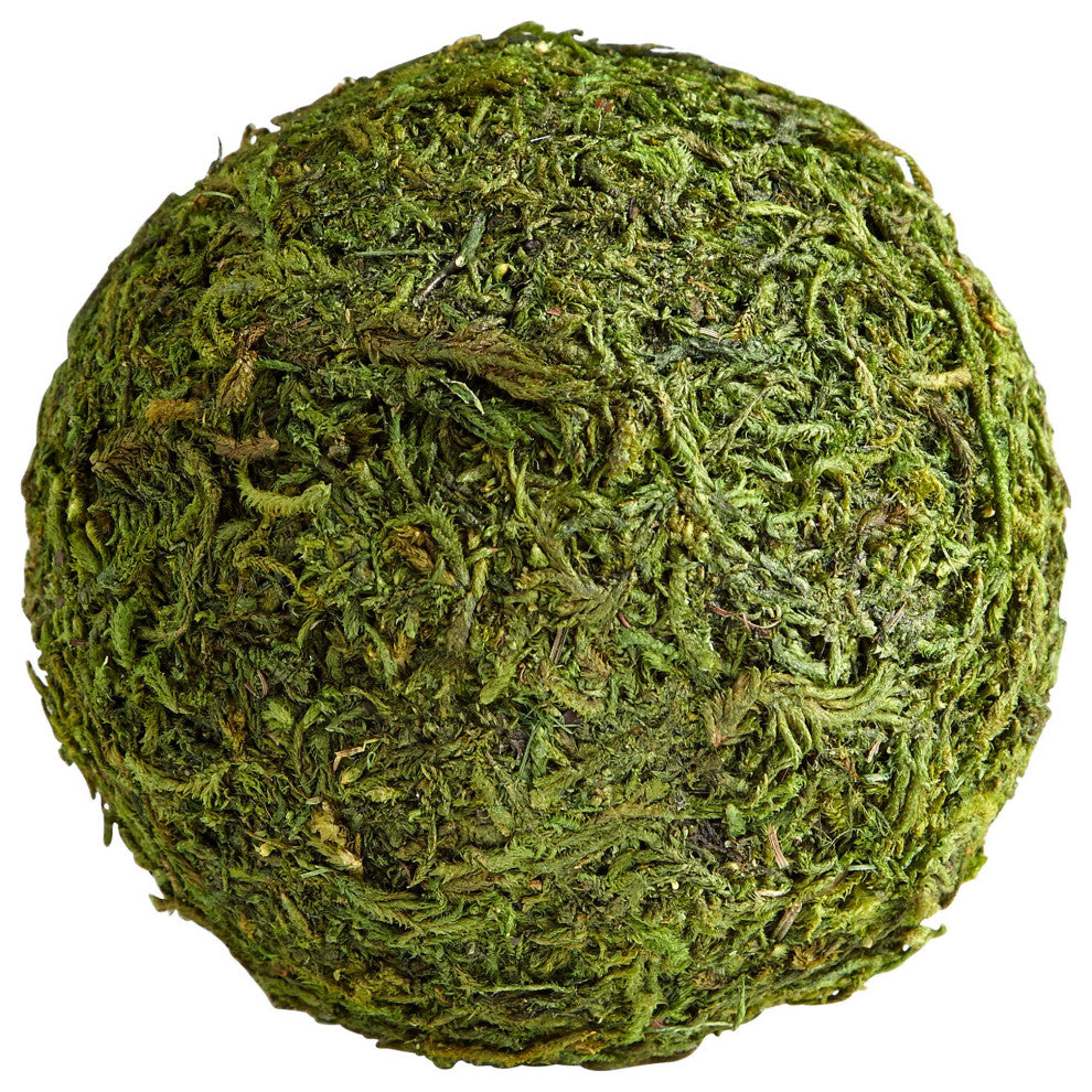 Bermuda Filler, Small