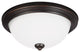 Generation Lighting Lighting 2-Light Flush Mount