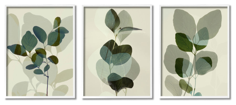Modern Forest Plant Photography Overlapping Foliage Shadows,16 x 20