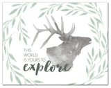 Yours To Explore Elk 14x11 Canvas Wall Art