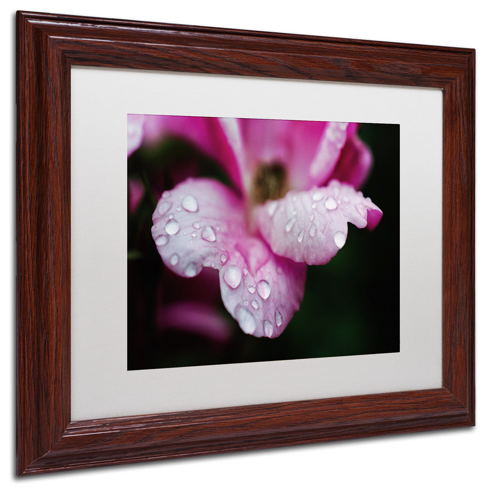 PIPA Fine Art 'Raindrops on Wild Rose Color' Matted Framed Art, 14x11