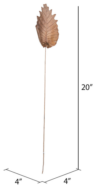 Vickerman 20" Oak Leaf, Natural on Natural Ting Ting, 100 pieces per Pack.