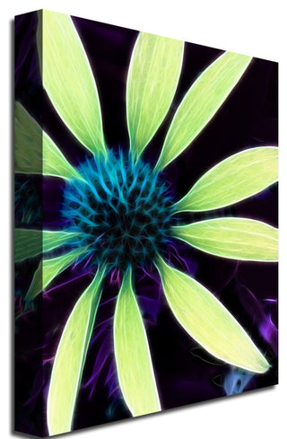 'Lime Green Coneflower' Canvas Art by Kathie McCurdy