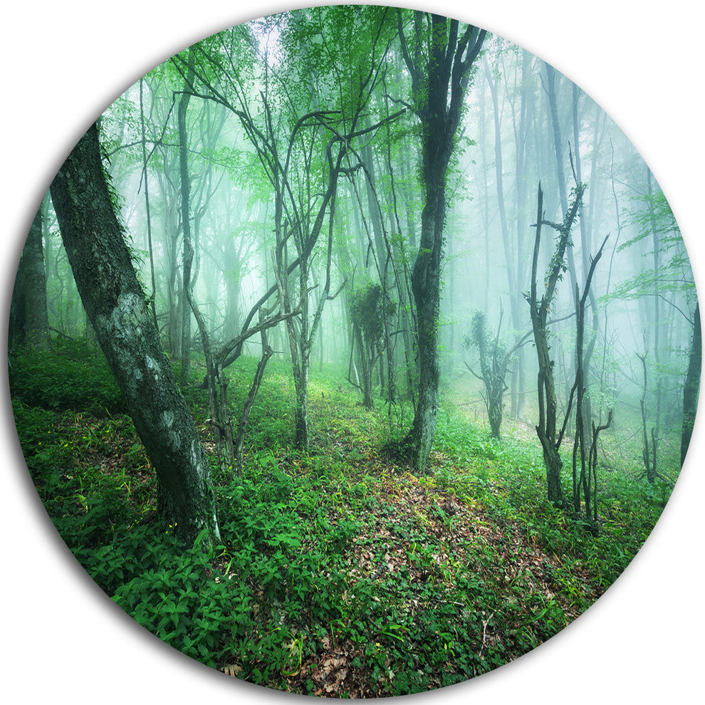 Trail Through Green Forest, Landscape Photo Round Wall Art, 36"