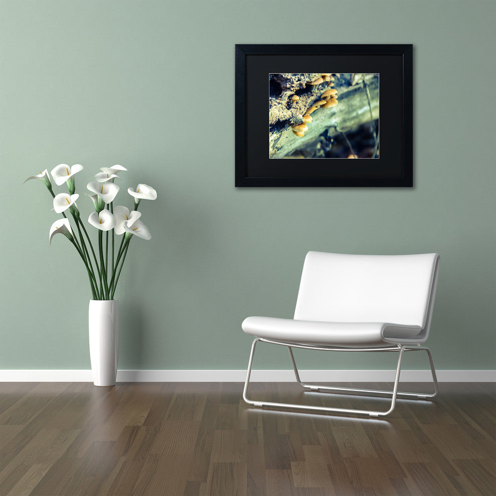 PIPA Fine Art 'Aged Mushroom' Matted Framed Art, 20x16
