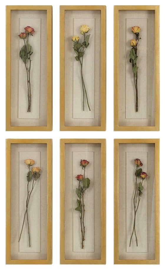 Uttermost Rosalie Long Stem Shadow Box, Set of 6