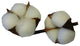 15"H Faux Cotton Spray, Set of 6