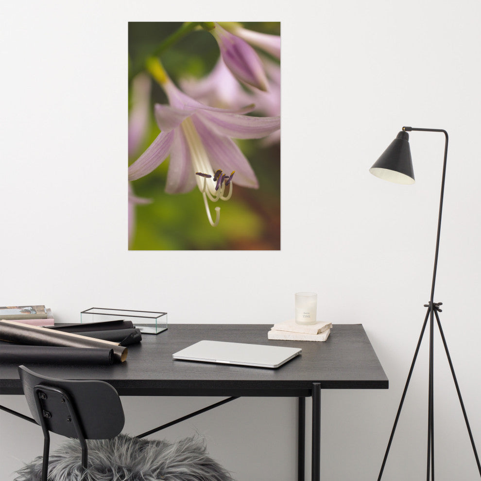 Close-up Hosta Bloom Nature Photography, Floral Unframed Wall Art Print, 24" X 36"