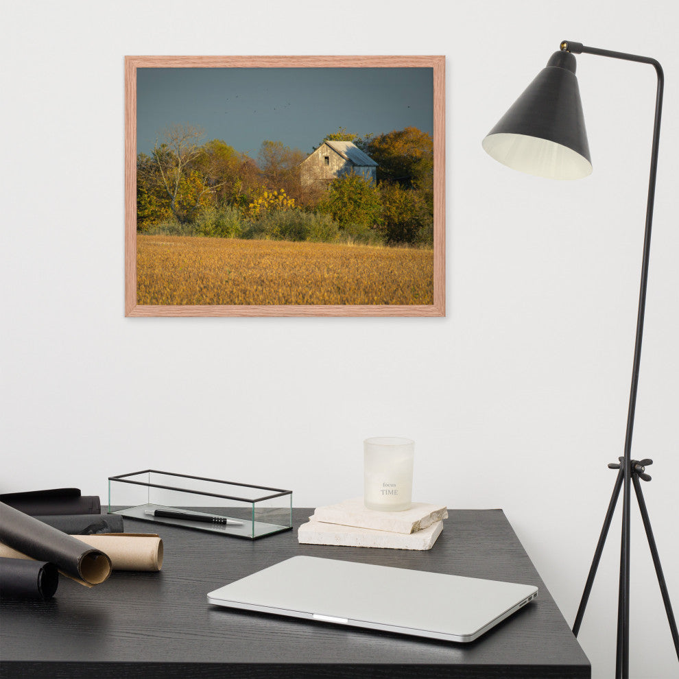 Abandoned Barn In The Trees Framed Photo Paper Wall Art Prints, Red Oak, 16" X 20"