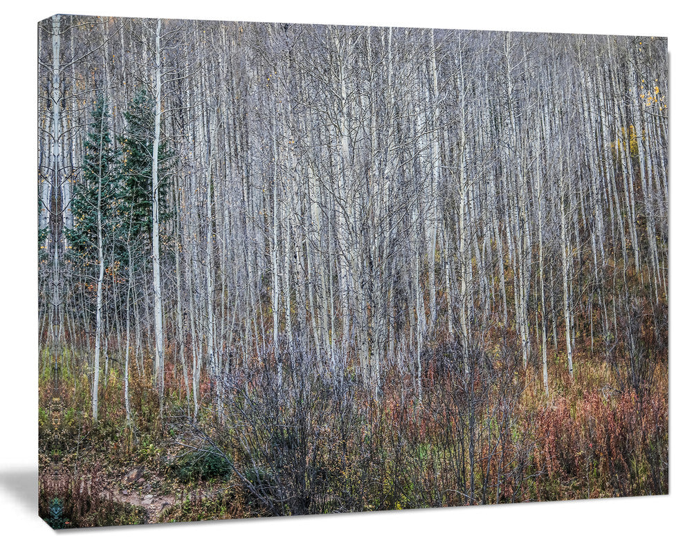 Maroon Bells Mountain View, Modern Forest Canvas Art, 20"x12"
