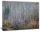 Maroon Bells Mountain View, Modern Forest Canvas Art, 20"x12"