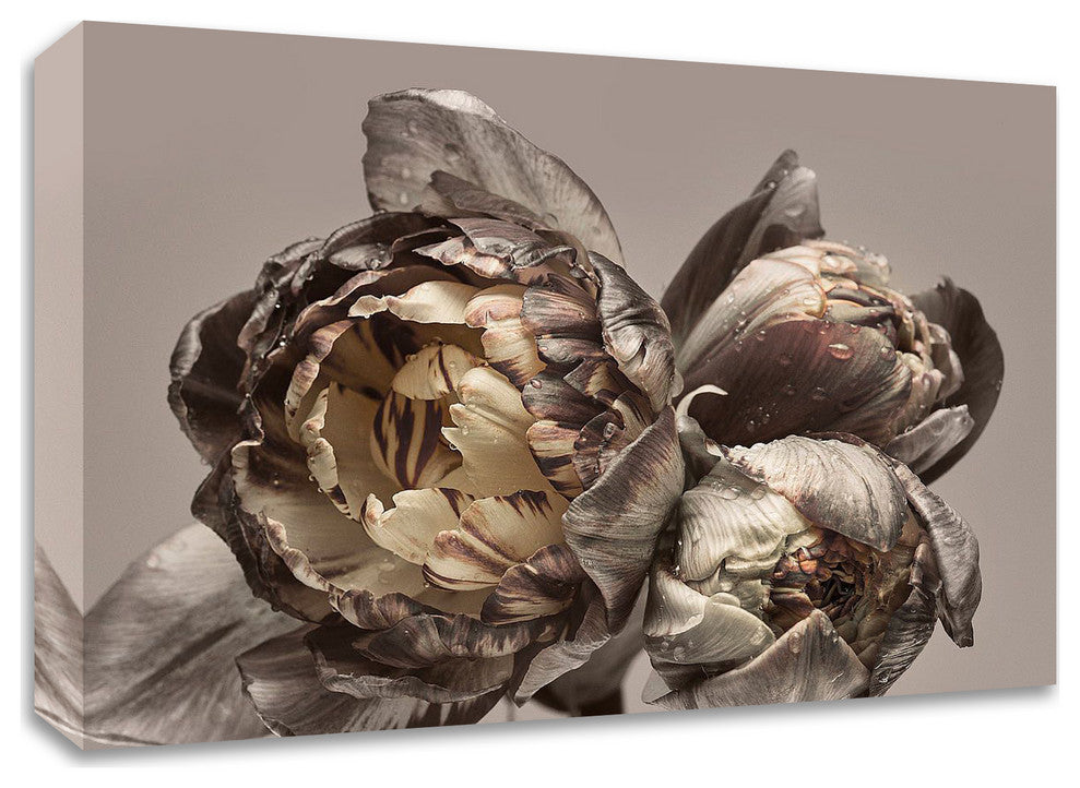 Baroque 4 by Design Fabrikken, Print on Canvas, 28"x20"