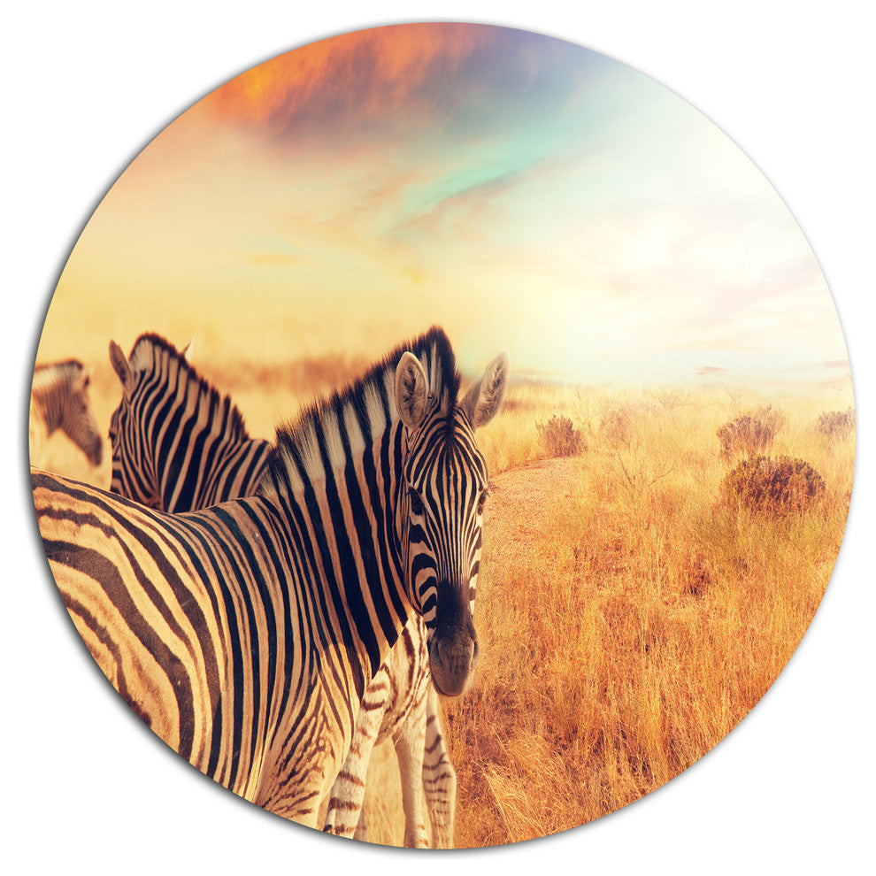 Zebras Herd In Field At Sunset, African Round Wall Art, 11"