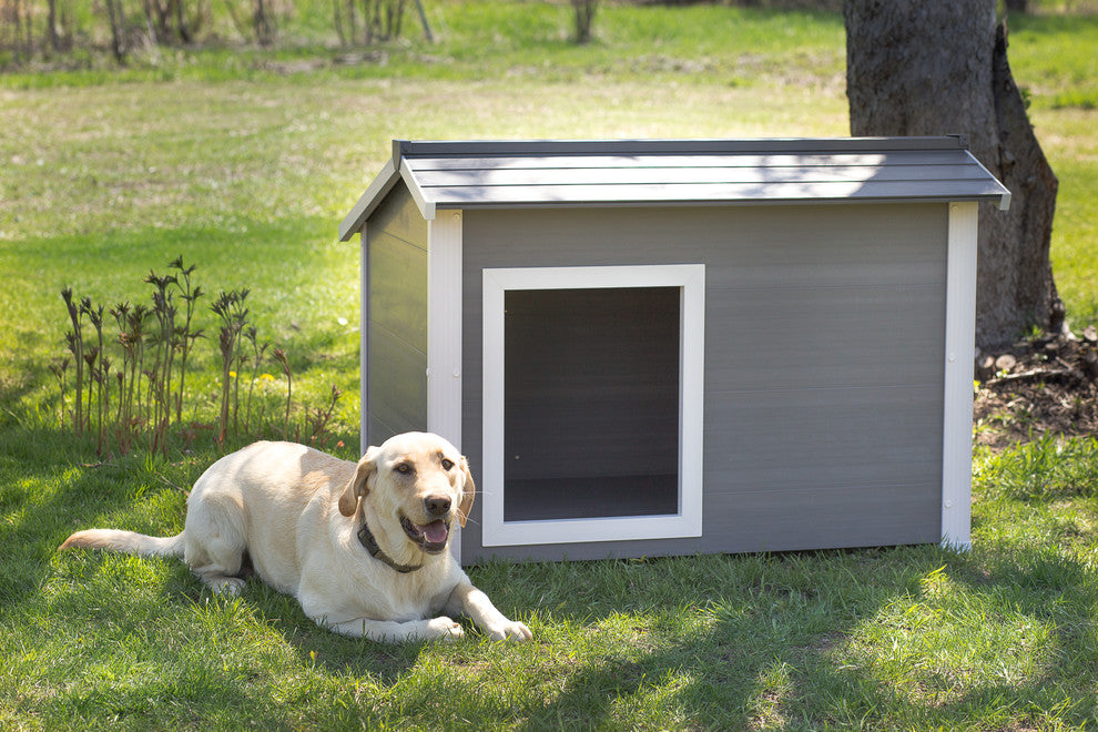 ECOFLEX Thermocore Dog House