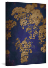 "Dawn B" Painting Print on Canvas by Jorgensen