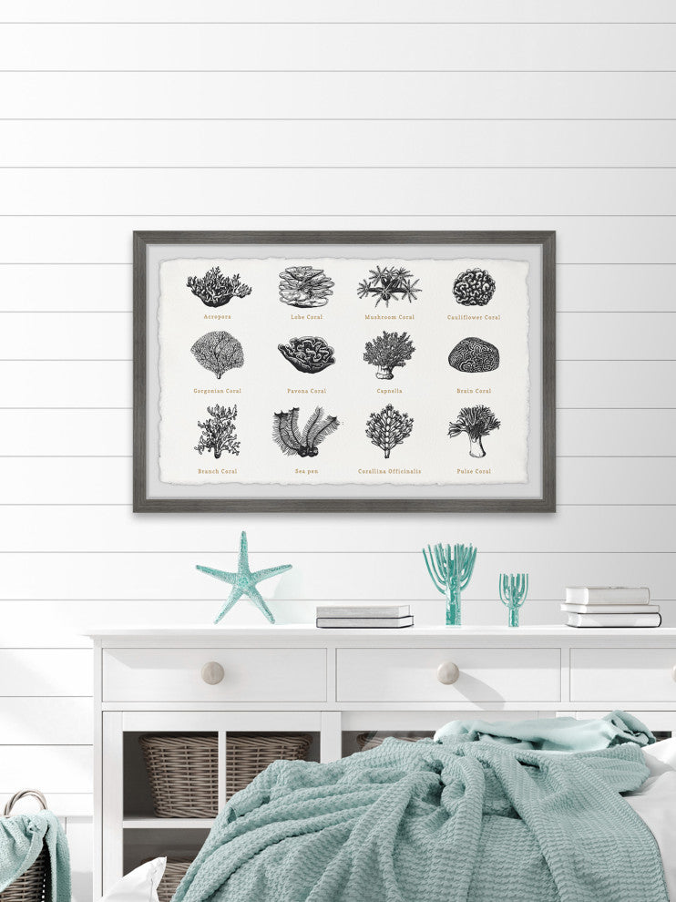 "Coral Collection" Framed Painting Print, 36x24