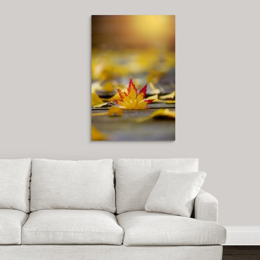 "In Love With Light" Wrapped Canvas Art Print, 24"x36"x1.5"