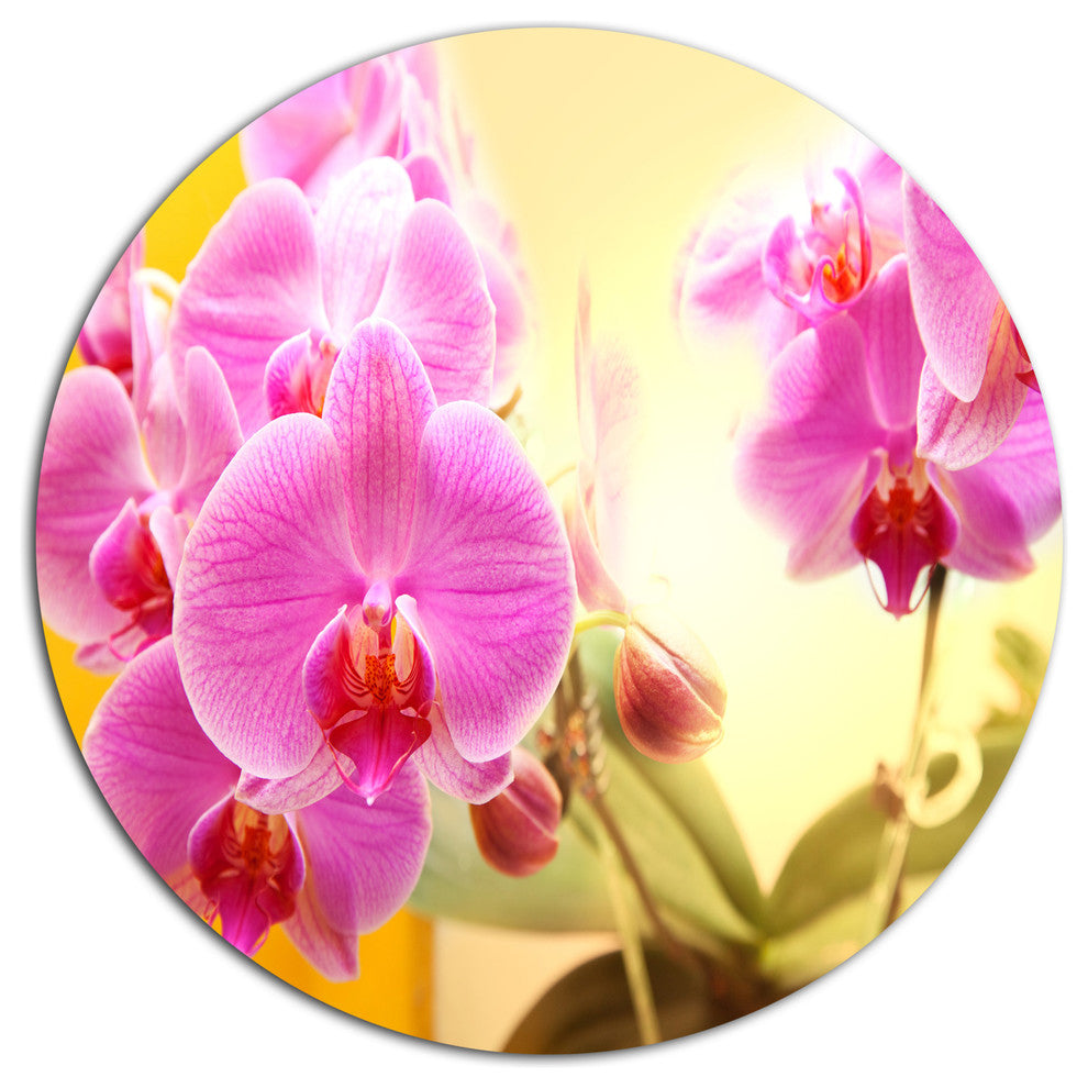Blooming Purple Orchid Flowers, Modern Flower Round Wall Art, 23"