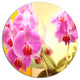 Blooming Purple Orchid Flowers, Modern Flower Round Wall Art, 23"