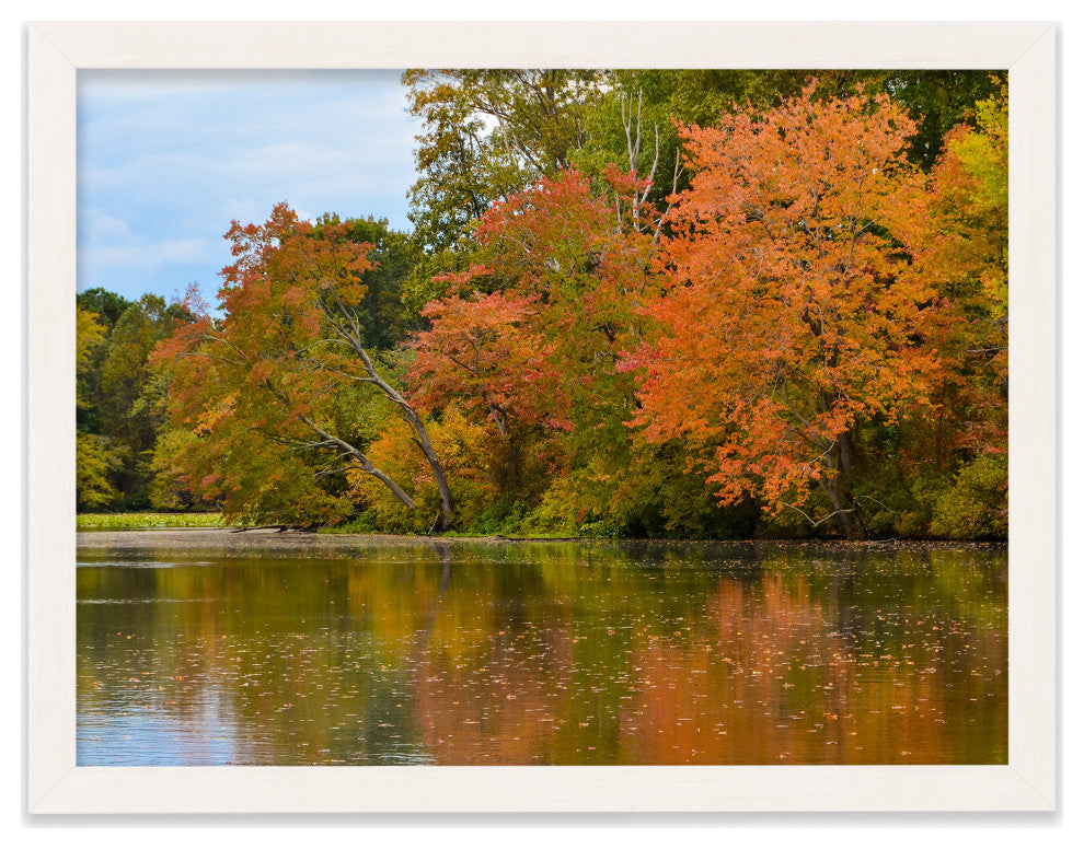 Autumn Tree Line Rural Landscape Framed Photo Paper Wall Art Prints, White, 18" X 24"