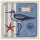 "Sea Bird II" Digital Paper Print by Studio Mousseau, 38"x38"