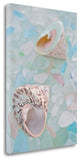 5" Speckled Snail Shell and Colorful Seaglass Giclee Wrap Canvas Wall Art
