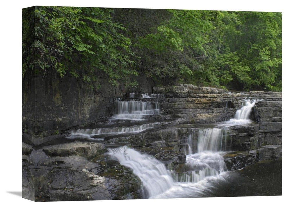 "Dismal Falls, Jefferson National Forest, Virginia" Artwork, 16" x 12"