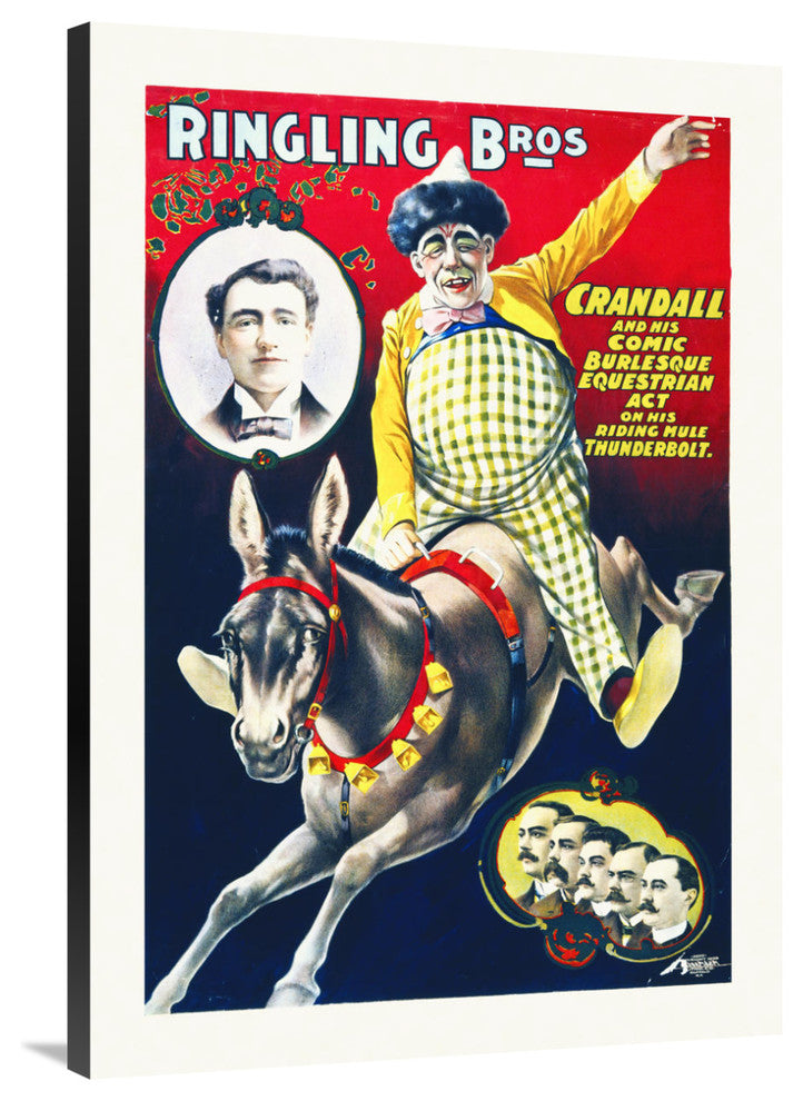Ringling Bros,  Equestrian Act On His Riding Mule Thunderbolt, 28x40