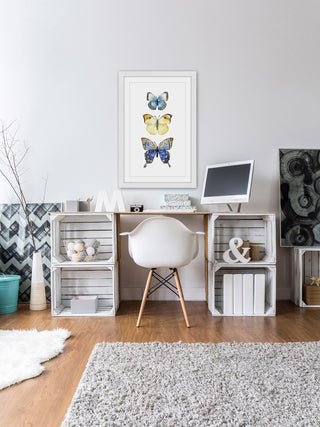 "Three Butterflies" Framed Print by Rachel Byler