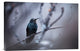 "Electrical Blue" Stretched Canvas Giclee by Fabien Bravin, 24"x16"