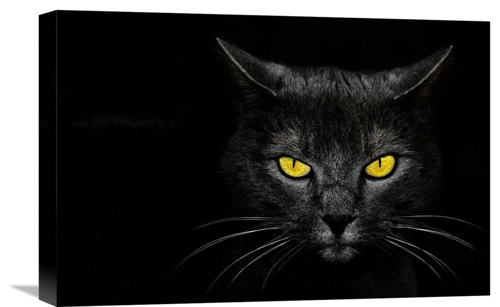 "Monster Kill" Stretched Canvas Giclee by Davorin Baloh, 22x15"