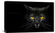 "Monster Kill" Stretched Canvas Giclee by Davorin Baloh, 22x15"