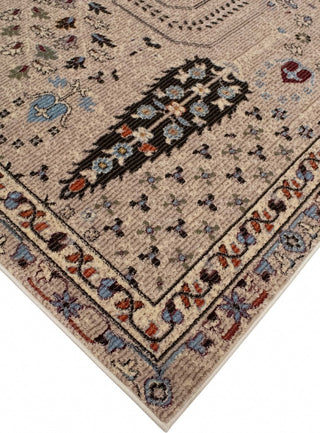 Noori Rug Traditional Debbra Beige/Brown Rug