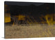 "Flame Trees, Namibia" Wrapped Canvas Art Print, 48"x32"x1.5"