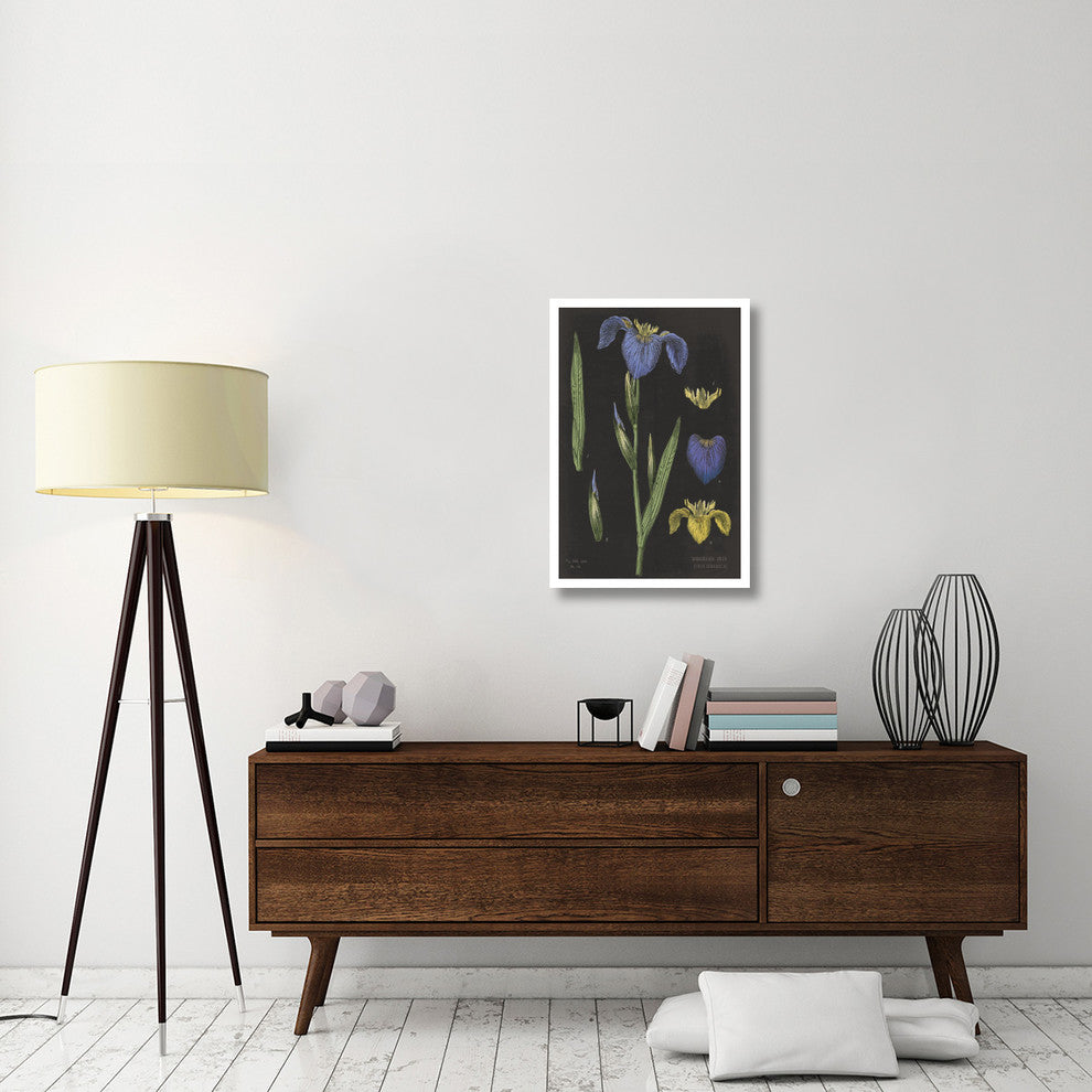 "Iris Chart" Digital Paper Print by Sue Schlabach, 22"x32"