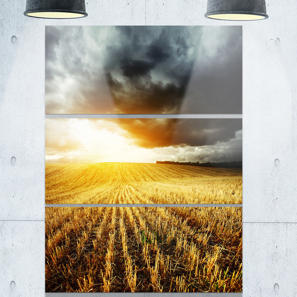 "Storm Dark Clouds Over Wheat Stems" Metal Wall Art, 3 Panels, 28"x36"
