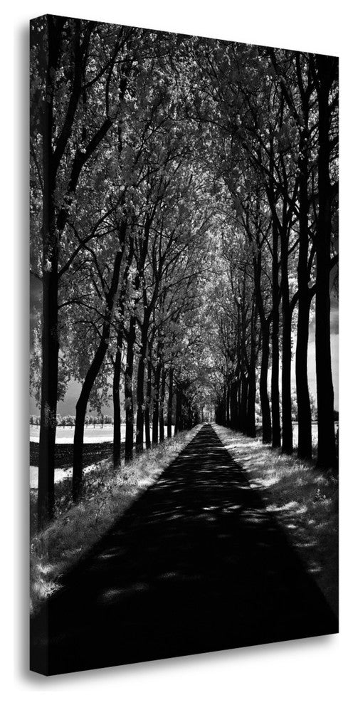 "Follow Me" By Ily Szilagyi, Giclee Print on Gallery Wrap Canvas, Ready to Hang