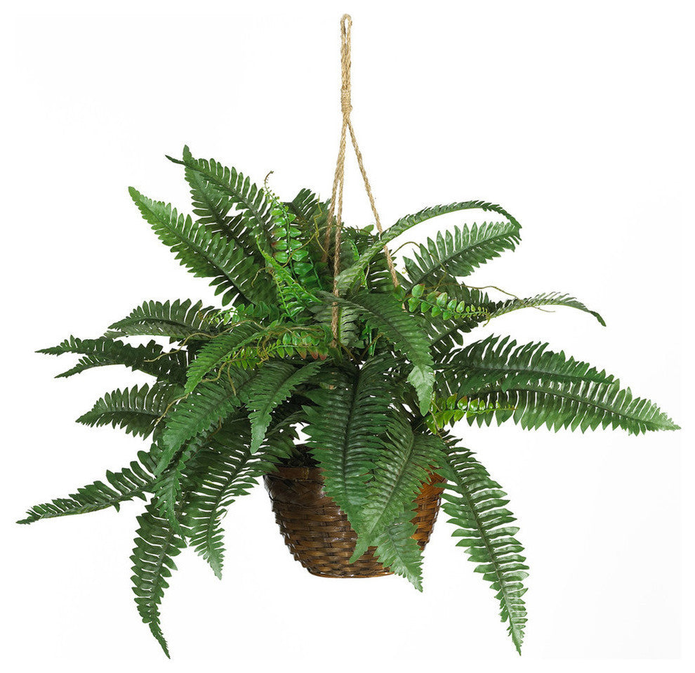 Boston Fern Silk Hanging Basket