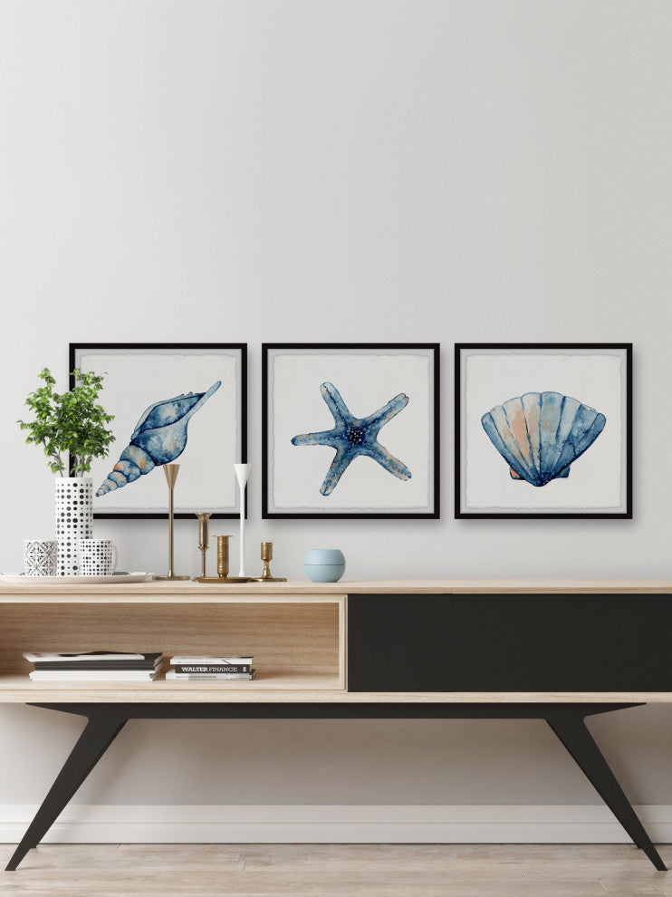 Starfish and Shells Triptych, 3-Piece Set, 12x12 Panels