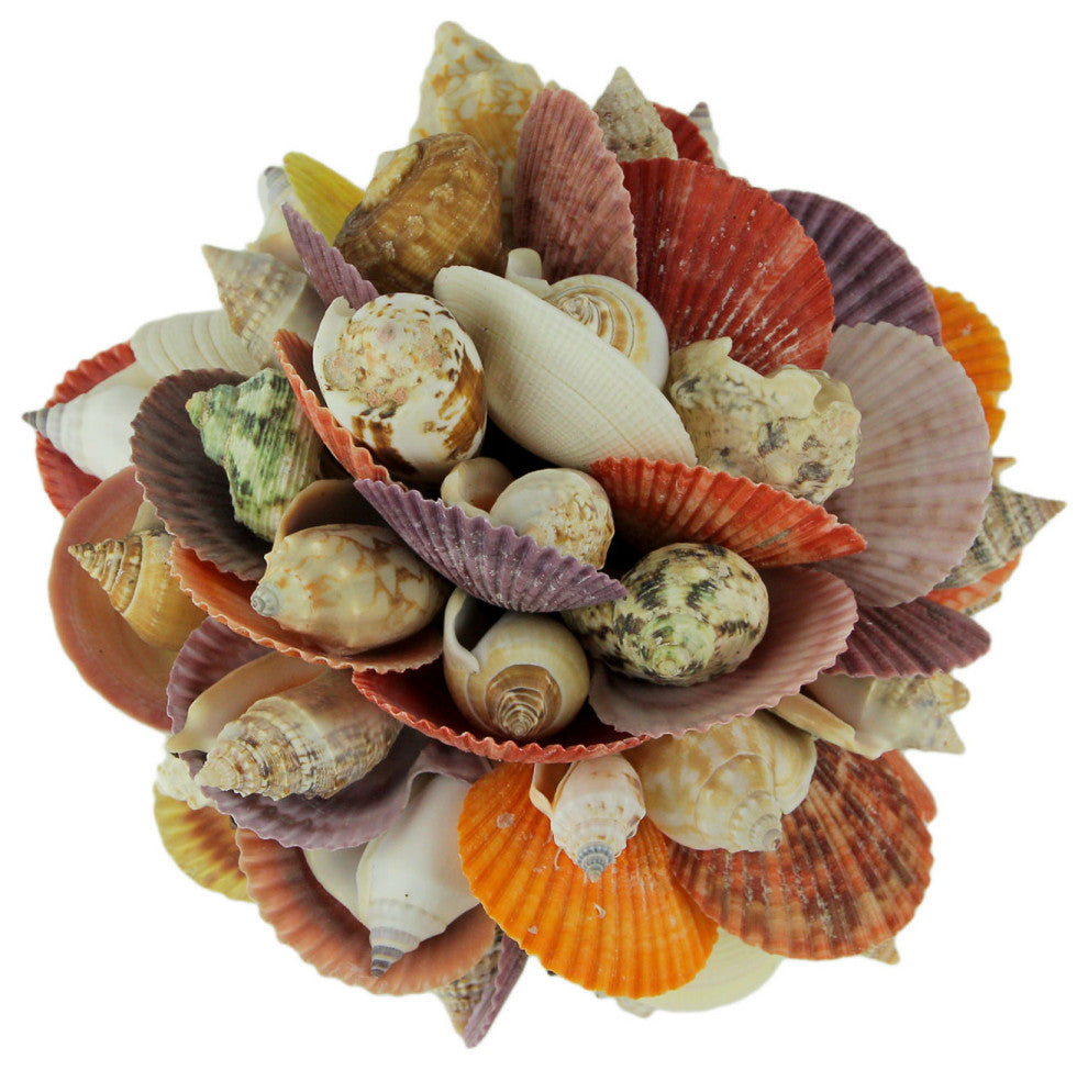 Mixed Seashells Decor Ball Figurine 7.5 inch