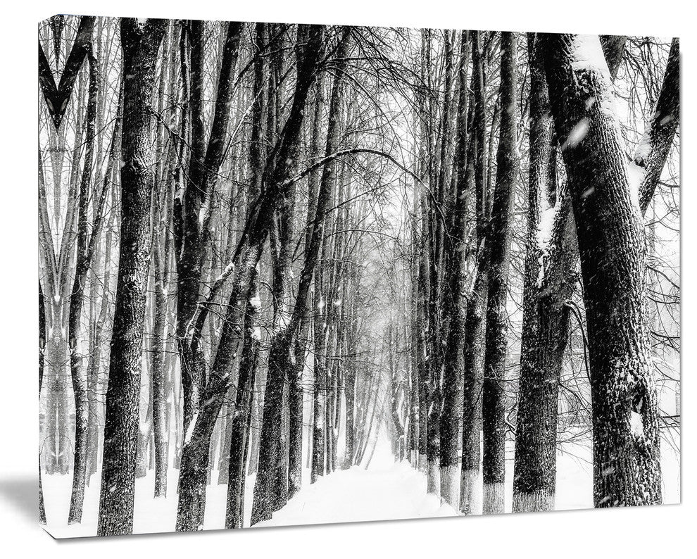 Snowy Forest Black and White, Modern Forest Canvas Art, 60"x28"