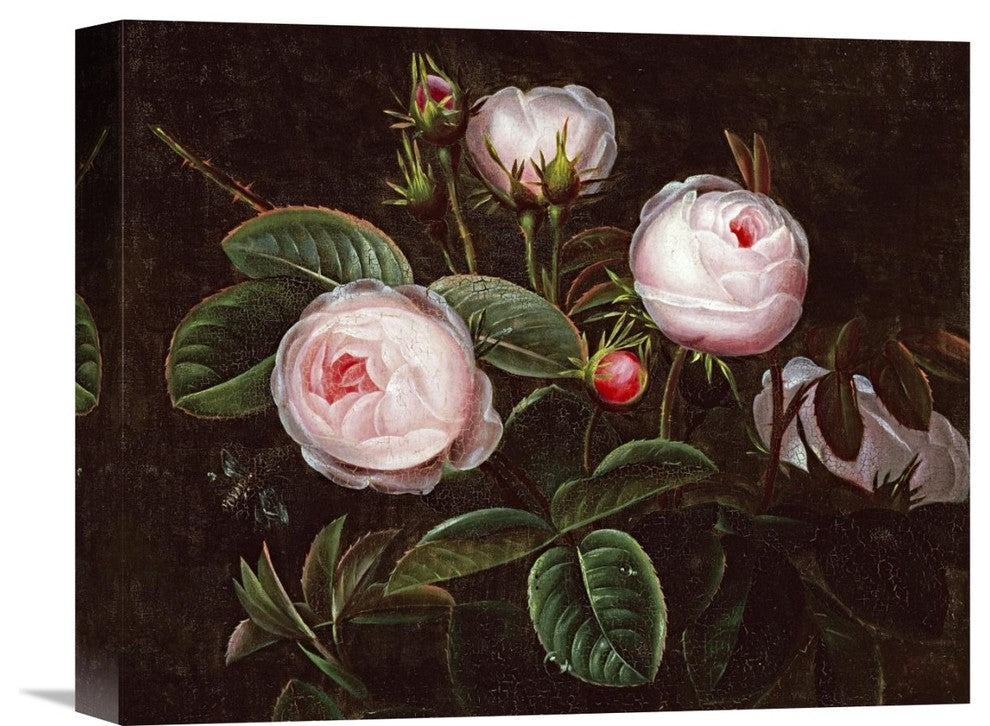 "Pink Roses" Stretched Canvas Giclee by Johan Laurents Jensen, 16"x13"