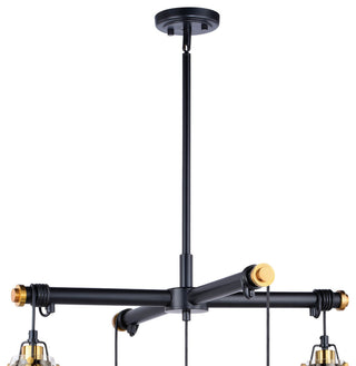 Kassidy 5L Adjustable Chandelier Black and Natural Brass