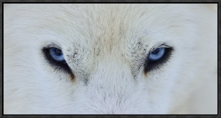 Mirada Azul, 24"x12"