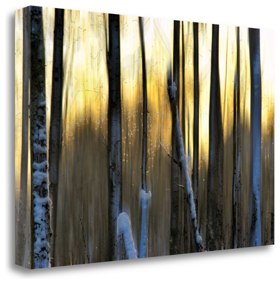 "The Forest At Dawn" By Marvin Pelkey, Giclee Print on Gallery Wrap Canvas