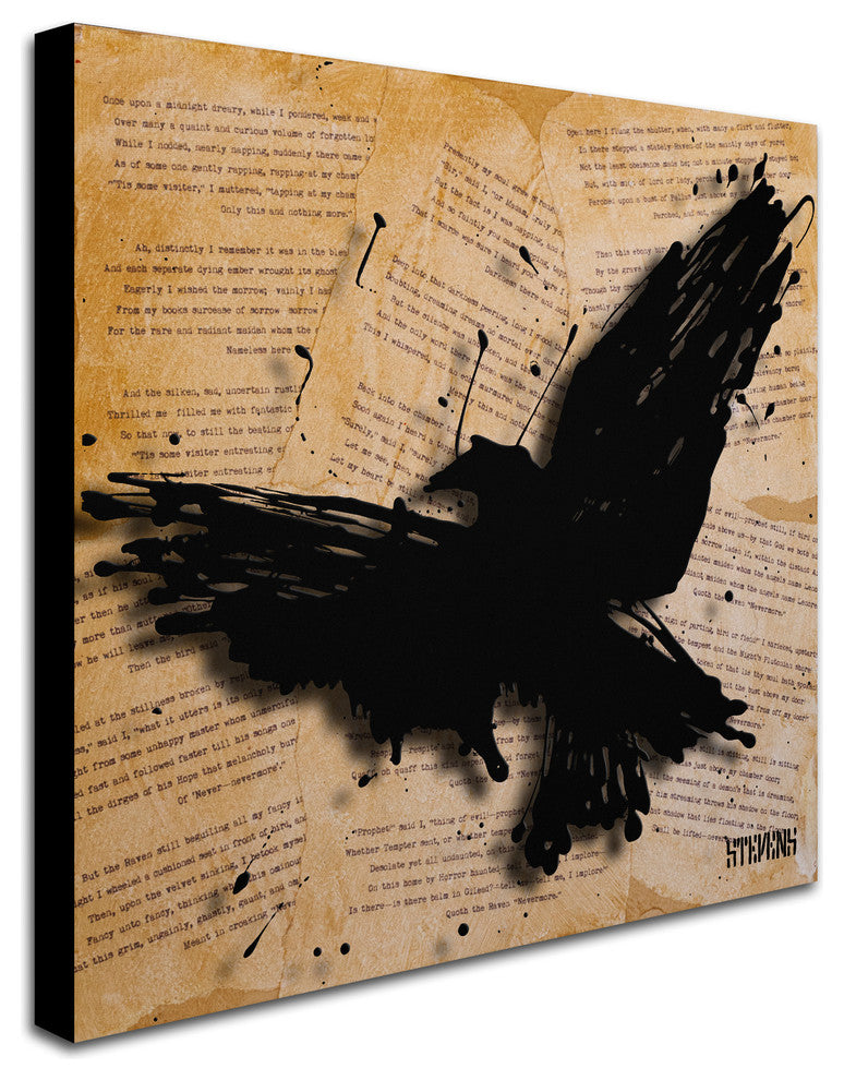 ''The Raven 2'' Canvas Art by Roderick Stevens