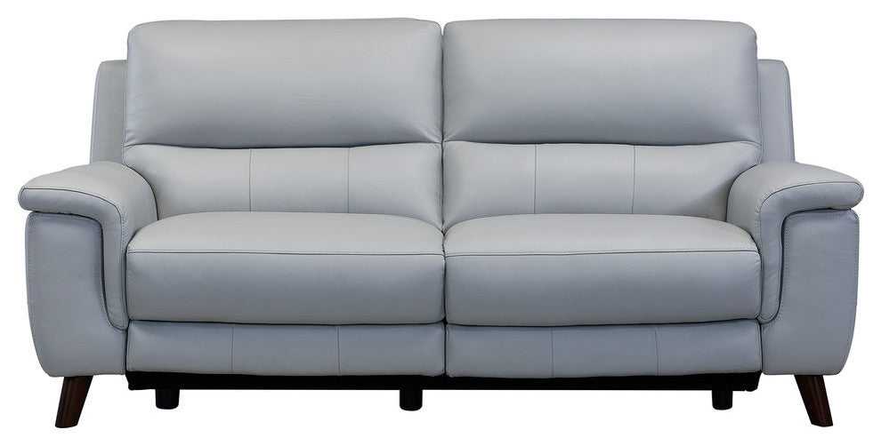 Steffanie Contemporary Sofa, Dark Wood and Dove Gray Genuine Leather