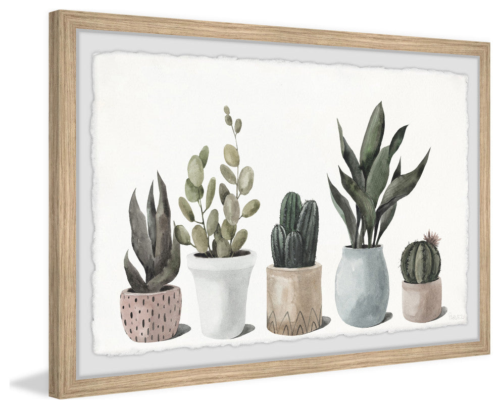 "Ultimate Succulent Collection" Framed Painting Print